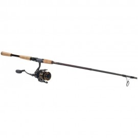 Daiwa BG/Offshore Angler Gold Cup Inshore Spinning Combo