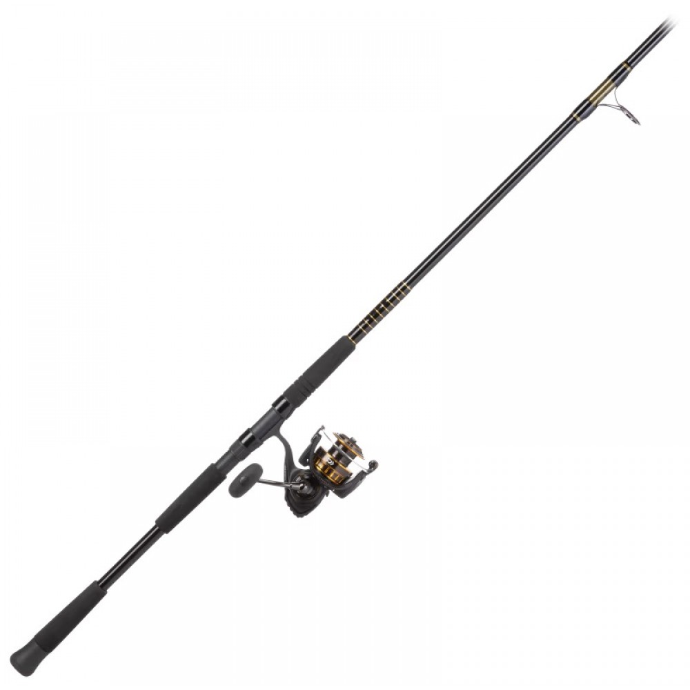 Daiwa BG Offshore Spinning Combo