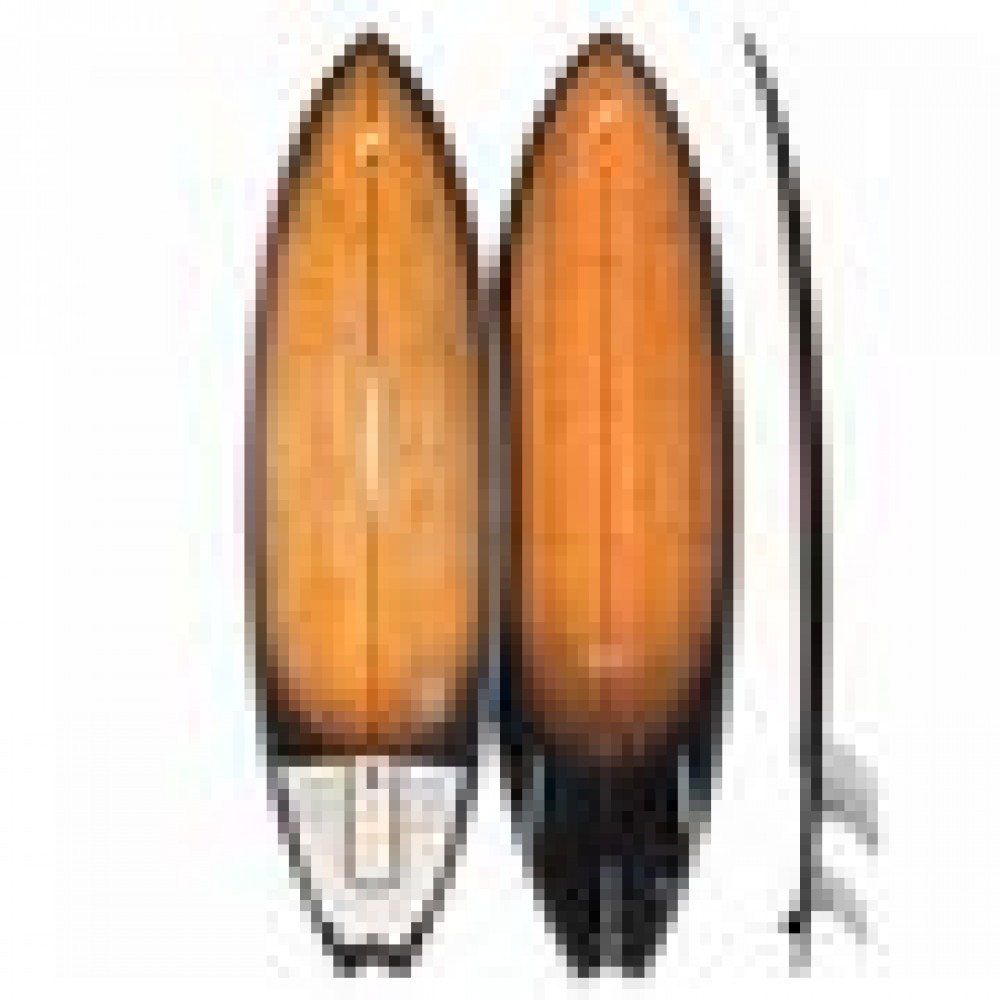 F-One Mitu Pro Bamboo 2024 Kite Surfboard