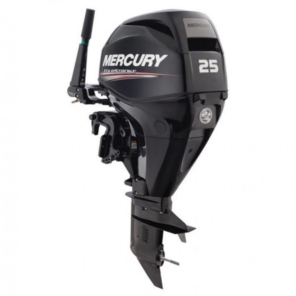 Mercury 25 HP EFI 25MH Outboard Motor